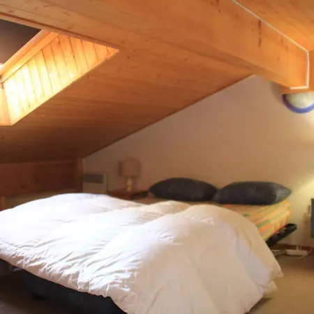 Chatel, 2 Pieces, 5 Personnes - Fr-1-200-357 Apartament